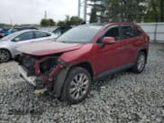 ✅ 2020 Toyota RAV4 Limited • VIN: JTMY1RFV5LD520151 • Lot: 81720215. Listed on Copart with 166,266 mi. Free auction sales archive from the USA and detailed vehicle history report at DreamBid. Image 1.