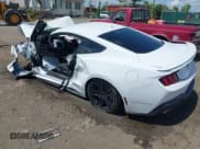 ✅ 2024 Ford Mustang GT • VIN: 1FA6P8CF1R5428122 • Lot: 42553827. Listed on IAAI with Not provided. Free auction sales archive from the USA and detailed vehicle history report at DreamBid. Image 3.