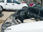 ✅ 2019 Chevrolet Express Passenger LS • VIN: 1GAZGNFPXK1367952 • Lot: 43230880. Listed on IAAI with 34,146 mi. Free auction sales archive from the USA and detailed vehicle history report at DreamBid. Image 19.