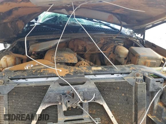 ✅ 2007 Chevrolet Silverado 1500 LT2 • VIN: 2GCEK13Z671105494 • Лот: 56352215. Опубликован ранее на Copart с пробегом Не указан. Бесплатный доступ к архиву аукционных продаж из США и подробный отчёт об истории автомобиля на DreamBid. Изображение 12.