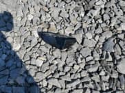 ✅ 2018 Lincoln MKZ Premiere • VIN: 3LN6L5B97JR629262 • Лот: 69572844. Опубликован ранее на Copart с пробегом 45 230 миль. Бесплатный доступ к архиву аукционных продаж из США и подробный отчёт об истории автомобиля на DreamBid. Изображение 12.