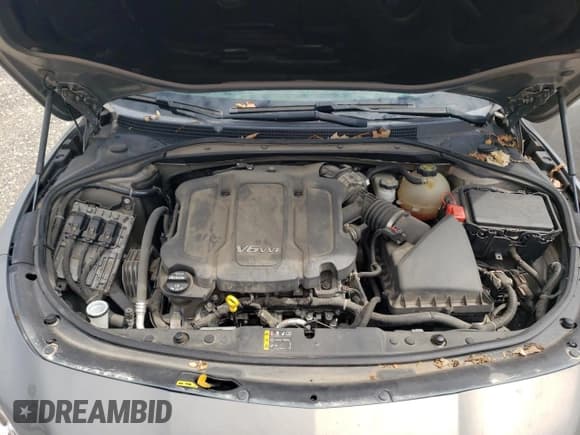 ✅ 2019 Buick LaCrosse Avenir • VIN: 1G4ZU5SS5KU125011 • Lot: 70301674. Wystawiony na Copart z przebiegiem 57 099 mil. Bezpłatny archiwum sprzedaży aukcyjnych z USA i szczegółowy raport historii pojazdu na DreamBid. Zdjęcie 13.