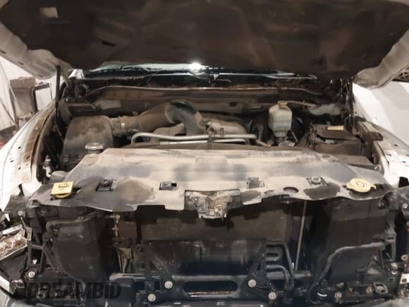 ✅ 2013 Ram 2500 • VIN: 3C6LR5BT4DG559115 • Lot: 42313531. Wystawiony na IAAI z przebiegiem 124 472 mil. Bezpłatny archiwum sprzedaży aukcyjnych z USA i szczegółowy raport historii pojazdu na DreamBid. Zdjęcie 10.