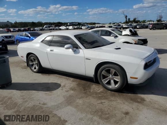 ✅ 2010 Dodge Challenger SE • VIN: 2B3CJ4DV1AH300457 • Lot: 76714904. Wystawiony na Copart z przebiegiem 187 962 mil. Bezpłatny archiwum sprzedaży aukcyjnych z USA i szczegółowy raport historii pojazdu na DreamBid. Zdjęcie 4.