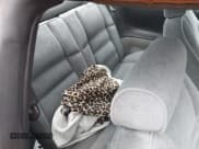 ✅ 1995 Ford Mustang • VIN: 1FALP4046SF207937 • Lot: 42222338. Listed on IAAI with 228,850 mi. Free auction sales archive from the USA and detailed vehicle history report at DreamBid. Image 8.