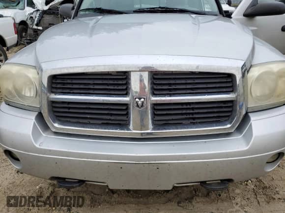 2006 Dodge Dakota SLT with VIN 1D7HE42K46S711939, listed as a Copart auction lot 73250804 with 167,221 mi miles and Salvage title. Bid and sale history available at DreamBid. Image 11.
