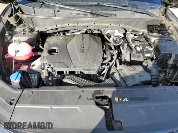 ✅ 2025 Hyundai Tucson SEL Convenience • VIN: 3KMJCCDE2SE006800 • Лот: 71235905. Опубликован ранее на Copart с пробегом 13 773 миль. Бесплатный доступ к архиву аукционных продаж из США и подробный отчёт об истории автомобиля на DreamBid. Изображение 12.