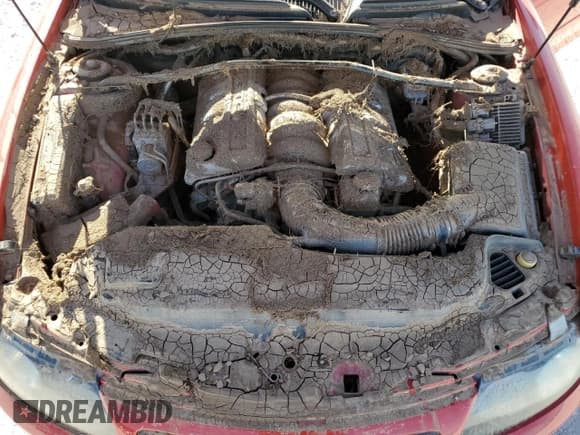 ✅ 2005 Pontiac GTO • VIN: 6G2VX12U95L427522 • Lot: 77687754. Wystawiony na Copart z przebiegiem Nie podano. Bezpłatny archiwum sprzedaży aukcyjnych z USA i szczegółowy raport historii pojazdu na DreamBid. Zdjęcie 11.