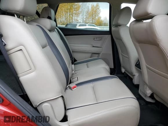 ✅ 2009 Mazda CX-9 Sport • VIN: JM3TB38V490179656 • Lot: 91667605. Listed on Copart with 130,324 mi. Free auction sales archive from the USA and detailed vehicle history report at DreamBid. Image 11.