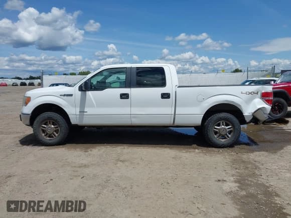 ✅ 2011 Ford F-150 XLT • VIN: 1FTFW1ET0BKE00259 • Lot: 42408243. Wystawiony na IAAI z przebiegiem 153 248 mil. Bezpłatny archiwum sprzedaży aukcyjnych z USA i szczegółowy raport historii pojazdu na DreamBid. Zdjęcie 14.