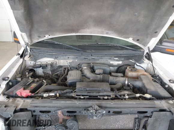 ✅ 2009 Ford F-150 XL • VIN: 1FTPW14V19FB30534 • Lot: 42896995. Listed on IAAI with 132,005 mi. Free auction sales archive from the USA and detailed vehicle history report at DreamBid. Image 10.