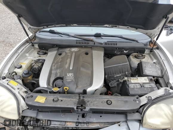 2005 Hyundai Santa Fe GLS with VIN KM8SC13E45U894450, listed as a Copart auction lot 81126475 with 117,824 mi miles and Salvage title. Bid and sale history available at DreamBid. Image 12.