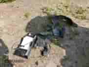 ✅ 2016 Hyundai Veloster • VIN: KMHTC6AD3GU294050 • Lot: 56909725. Wystawiony na Copart z przebiegiem Nie podano. Bezpłatny archiwum sprzedaży aukcyjnych z USA i szczegółowy raport historii pojazdu na DreamBid. Zdjęcie 12.