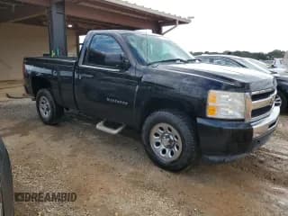 ✅ 2010 Chevrolet Silverado 1500 Work Truck • VIN: 1GCPKPEA1AZ196868 • Lot: 74045354. Listed on Copart with 157,586 mi. Free auction sales archive from the USA and detailed vehicle history report at DreamBid. Image 4.