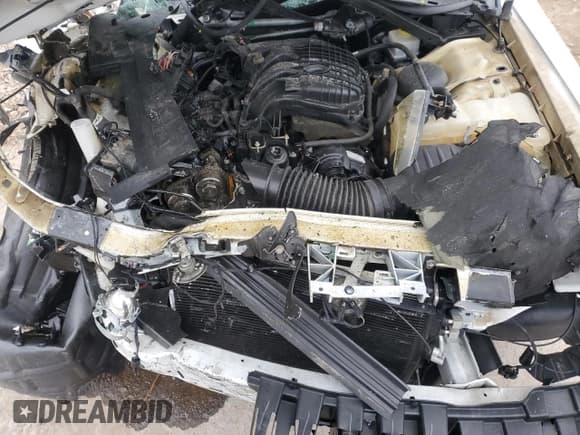 ✅ 2019 Dodge Challenger SXT • VIN: 2C3CDZGG2KH529493 • Lot: 91109685. Wystawiony na Copart z przebiegiem 53 924 mil. Bezpłatny archiwum sprzedaży aukcyjnych z USA i szczegółowy raport historii pojazdu na DreamBid. Zdjęcie 12.