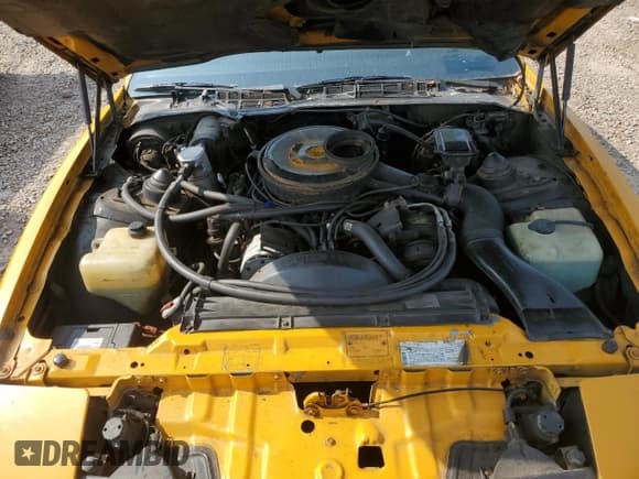 ✅ 1984 Pontiac Firebird • VIN: 1G2AW87H0EN223456 • Lot: 59570725. Wystawiony na Copart z przebiegiem 59 483 mil. Bezpłatny archiwum sprzedaży aukcyjnych z USA i szczegółowy raport historii pojazdu na DreamBid. Zdjęcie 11.