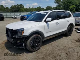 ✅ 2025 Kia Telluride SX X-Line • VIN: 5XYP5DGC4SG567736 • Lot: 65791825. Wystawiony na Copart z przebiegiem 5 096 mil. Bezpłatny archiwum sprzedaży aukcyjnych z USA i szczegółowy raport historii pojazdu na DreamBid. Zdjęcie 1.