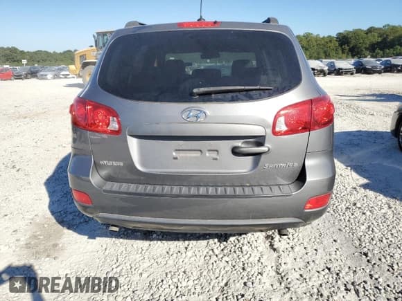 ✅ 2009 Hyundai Santa Fe GLS • VIN: 5NMSG13D69H301099 • Lot: 73309904. Listed on Copart with 167,438 mi. Free auction sales archive from the USA and detailed vehicle history report at DreamBid. Image 6.