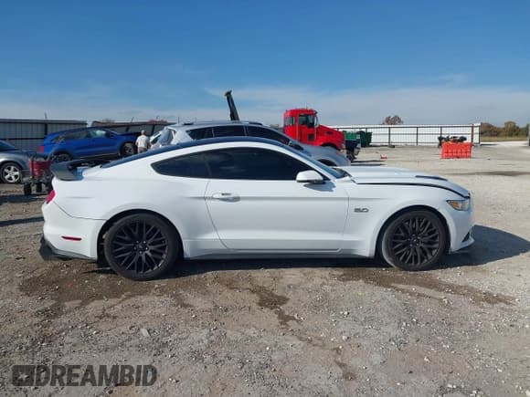 ✅ 2017 Ford Mustang GT Premium • VIN: 1FA6P8CF6H5256751 • Lot: 43607669. Wystawiony na IAAI z przebiegiem 135 162 mil. Bezpłatny archiwum sprzedaży aukcyjnych z USA i szczegółowy raport historii pojazdu na DreamBid. Zdjęcie 13.