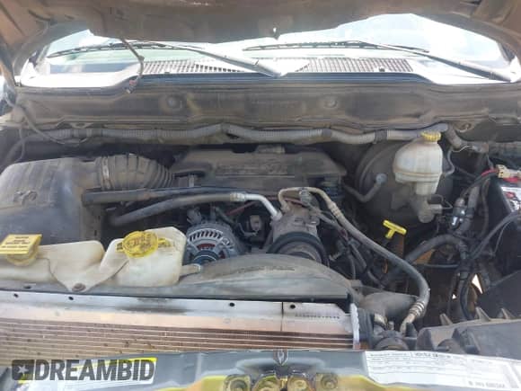 2008 Dodge 1500 SLT with VIN 3D7KS19D38G132407, listed as a IAAI auction lot 42446181 with 181,997 mi miles and . Bid and sale history available at DreamBid. Image 10.