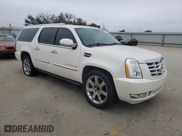 ✅ 2010 Cadillac Escalade ESV Premium • VIN: 1GYUCJEF0AR222489 • Lot: 79098954. Listed on Copart with Not provided. Free auction sales archive from the USA and detailed vehicle history report at DreamBid. Image 4.