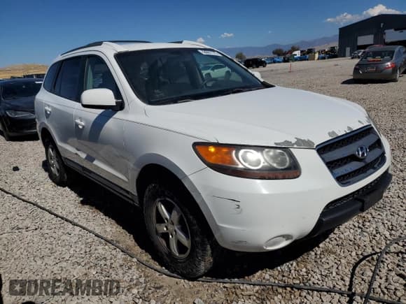 ✅ 2007 Hyundai Santa Fe GLS • VIN: 5NMSG13D27H003730 • Lot: 72128664. Listed on Copart with 197,039 mi. Free auction sales archive from the USA and detailed vehicle history report at DreamBid. Image 4.