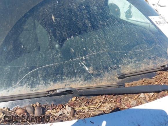 ✅ 2013 Dodge Charger RT • VIN: 2C3CDXCT0DH526585 • Лот: 43464168. Опубликован ранее на IAAI с пробегом 130 045 миль. Бесплатный доступ к архиву аукционных продаж из США и подробный отчёт об истории автомобиля на DreamBid. Изображение 18.