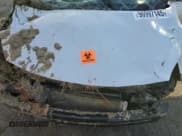 ✅ 2014 Hyundai Elantra • VIN: KMHD35LH8EU209828 • Lot: 90997145. Listed on Copart with Not provided. Free auction sales archive from the USA and detailed vehicle history report at DreamBid. Image 11.