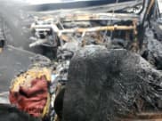 ✅ 2016 BMW 4 Series 435i xDrive • VIN: WBA4B3C53GG528442 • Lot: 64942855. Listed on Copart with Not provided. Free auction sales archive from the USA and detailed vehicle history report at DreamBid. Image 8.