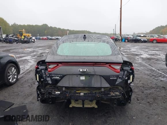 ✅ 2019 Kia Stinger GT • VIN: KNAE35LC4K6056729 • Lot: 43431185. Listed on IAAI with 125,917 mi. Free auction sales archive from the USA and detailed vehicle history report at DreamBid. Image 17.
