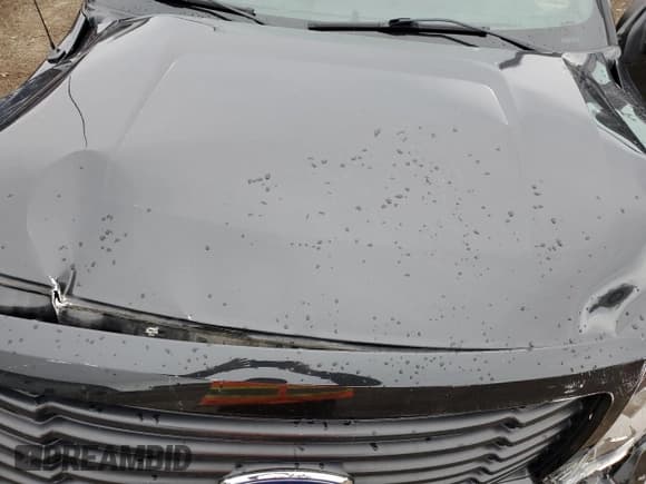 ✅ 2014 Ford F-150 XL • VIN: 1FTEX1EM4EFB97942 • Lot: 86619805. Listed on Copart with 48,270 mi. Free auction sales archive from the USA and detailed vehicle history report at DreamBid. Image 11.