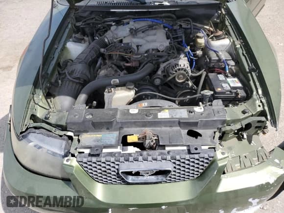 ✅ 2004 Ford Mustang Deluxe • VIN: 1FAFP44694F133635 • Lot: 50216915. Listed on Copart with Not provided. Free auction sales archive from the USA and detailed vehicle history report at DreamBid. Image 11.