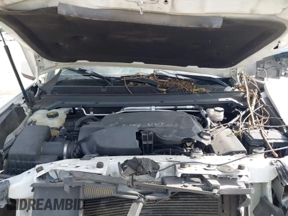 ✅ 2020 Chevrolet Colorado 2WD LT • VIN: 1GCGSCEN5L1160436 • Lot: 42530141. Listed on IAAI with 83,751 mi. Free auction sales archive from the USA and detailed vehicle history report at DreamBid. Image 10.