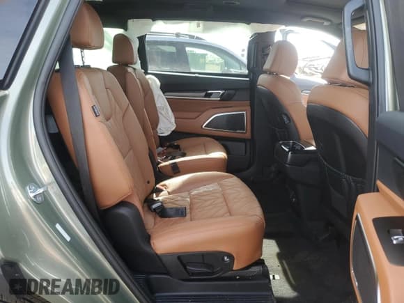 ✅ 2025 Kia Telluride SX X-Line • VIN: 5XYP5DGCXSG590552 • Lot: 46502485. Listed on Copart with 901 mi. Free auction sales archive from the USA and detailed vehicle history report at DreamBid. Image 11.