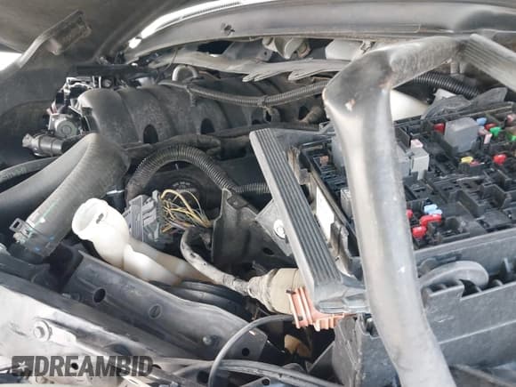 ✅ 2019 Chevrolet Tahoe LT • VIN: 1GNSCBKC1KR115800 • Lot: 42884267. Listed on IAAI with Not provided. Free auction sales archive from the USA and detailed vehicle history report at DreamBid. Image 13.