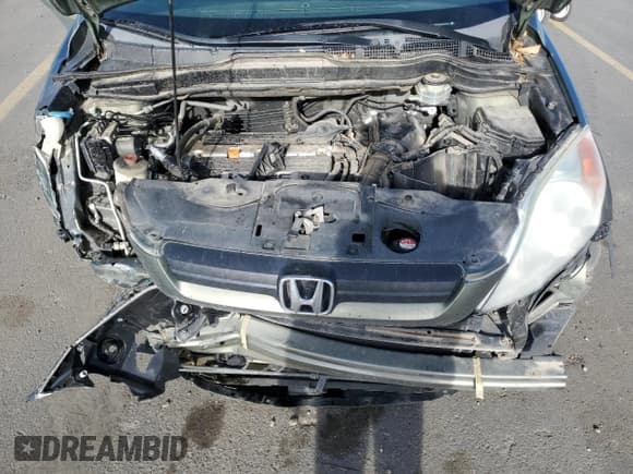 ✅ 2009 Honda CR-V LX • VIN: 5J6RE48319L017636 • Лот: 87432745. Опубликован ранее на Copart с пробегом Не указан. Бесплатный доступ к архиву аукционных продаж из США и подробный отчёт об истории автомобиля на DreamBid. Изображение 12.