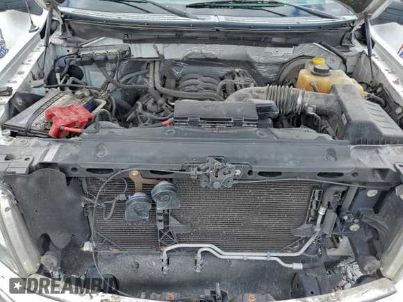 ✅ 2014 Ford F-150 XL • VIN: 1FTNF1CF5EKD47636 • Lot: 95702285. Listed on Copart with 112,338 mi. Free auction sales archive from the USA and detailed vehicle history report at DreamBid. Image 11.