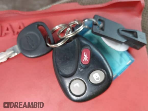 2009 Chevrolet TrailBlazer 1LT z VIN 1GNDT33S892131225, wystawiony jako IAAI lot #42626172 z przebiegiem 104 166 mil mil oraz . Historia ofert i sprzedaży dostępna na DreamBid. Obrazek 11.