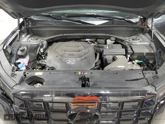 2024 Hyundai Palisade SEL с VIN KM8R24GE1RU801953, выставлен на аукционе Copart как лот 79393904 с пробегом 18 410 миль миль и Чистый • Clean title. История ставок и продаж доступна на DreamBid. Изображение 12.