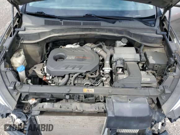 2017 Hyundai Santa Fe 2.0T with VIN 5XYZUDLA0HG455511, listed as a Copart auction lot 68994065 with 97,159 mi miles and Salvage title. Bid and sale history available at DreamBid. Image 12.