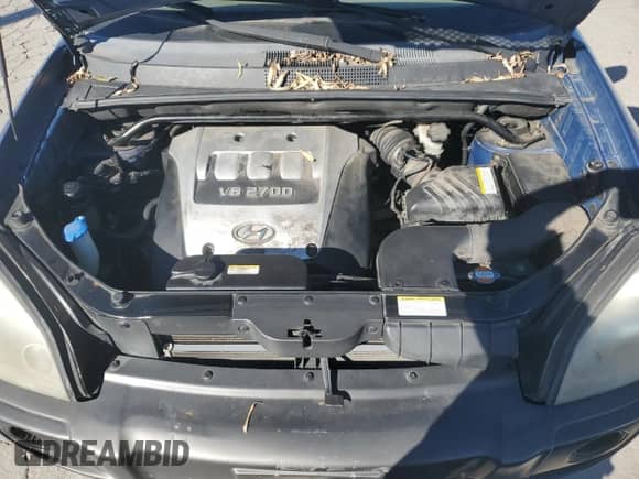 2006 Hyundai Tucson GLS z VIN KM8JN72D86U293576, wystawiony jako Copart lot #74794644 z przebiegiem 173 424 mil mil oraz Czysty tytuł • Clean title. Historia ofert i sprzedaży dostępna na DreamBid. Obrazek 12.