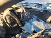 ✅ 2023 Subaru Ascent Premium • VIN: 4S4WMAED5P3456595 • Лот: 87944805. Опубликован ранее на Copart с пробегом Не указан. Бесплатный доступ к архиву аукционных продаж из США и подробный отчёт об истории автомобиля на DreamBid. Изображение 9.