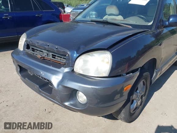 ✅ 2005 Hyundai Santa Fe GLS • VIN: KM8SC13D25U953079 • Lot: 43105682. Wystawiony na IAAI z przebiegiem 168 552 mil. Bezpłatny archiwum sprzedaży aukcyjnych z USA i szczegółowy raport historii pojazdu na DreamBid. Zdjęcie 6.