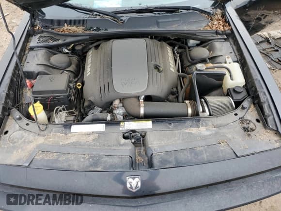 ✅ 2009 Dodge Challenger R/T • VIN: 2B3LJ54TX9H570304 • Lot: 42652465. Wystawiony na Copart z przebiegiem Nie podano. Bezpłatny archiwum sprzedaży aukcyjnych z USA i szczegółowy raport historii pojazdu na DreamBid. Zdjęcie 11.