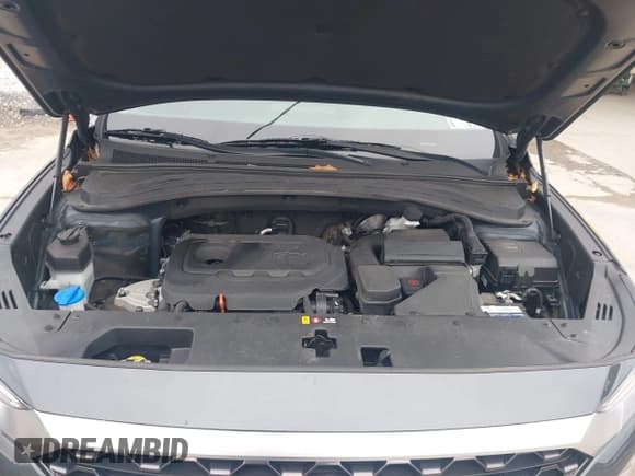 ✅ 2019 Hyundai Santa Fe SEL • VIN: 5NMS3CAD0KH046367 • Lot: 43451395. Wystawiony na IAAI z przebiegiem 82 902 mil. Bezpłatny archiwum sprzedaży aukcyjnych z USA i szczegółowy raport historii pojazdu na DreamBid. Zdjęcie 10.