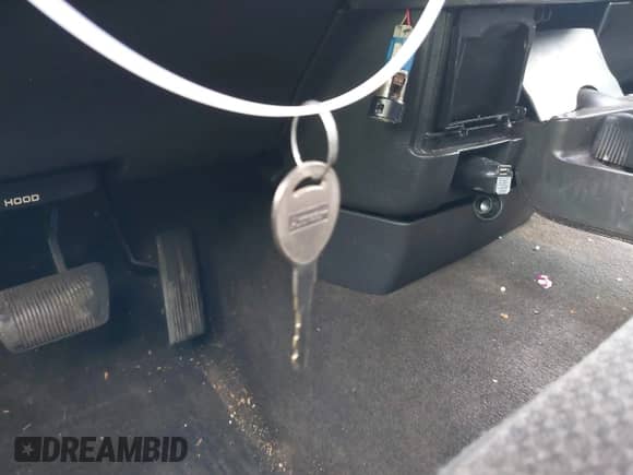 2003 Dodge 1500 ST z VIN 1D7HA18D53S347514, wystawiony jako IAAI lot #42099051 z przebiegiem 173 000 mil mil oraz . Historia ofert i sprzedaży dostępna na DreamBid. Obrazek 11.