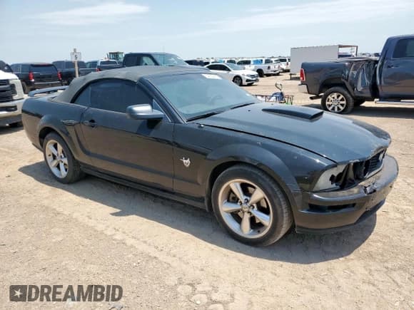 ✅ 2009 Ford Mustang GT • VIN: 1ZVHT85H795126585 • Lot: 64639495. Wystawiony na Copart z przebiegiem 140 661 mil. Bezpłatny archiwum sprzedaży aukcyjnych z USA i szczegółowy raport historii pojazdu na DreamBid. Zdjęcie 4.