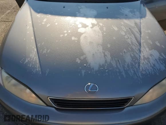 ✅ 1999 Lexus ES 300 • VIN: JT8BF28G7X0214089 • Lot: 71809315. Listed on Copart with Not provided. Free auction sales archive from the USA and detailed vehicle history report at DreamBid. Image 11.