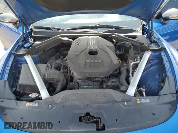 ✅ 2021 Kia Stinger GT-Line • VIN: KNAE15LA6M6087794 • Lot: 66846715. Wystawiony na Copart z przebiegiem 107 013 mil. Bezpłatny archiwum sprzedaży aukcyjnych z USA i szczegółowy raport historii pojazdu na DreamBid. Zdjęcie 11.