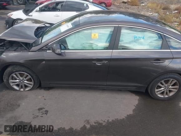 ✅ 2016 Hyundai Sonata SE • VIN: 5NPE24AF2GH371541 • Лот: 43440873. Опубликован ранее на IAAI с пробегом Не указан. Бесплатный доступ к архиву аукционных продаж из США и подробный отчёт об истории автомобиля на DreamBid. Изображение 13.